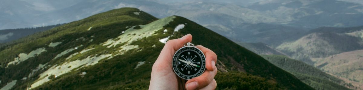 anastasia-petrova-xu2WYJek5AI-unsplash_Nachhaltigkeit_Strategiejpg